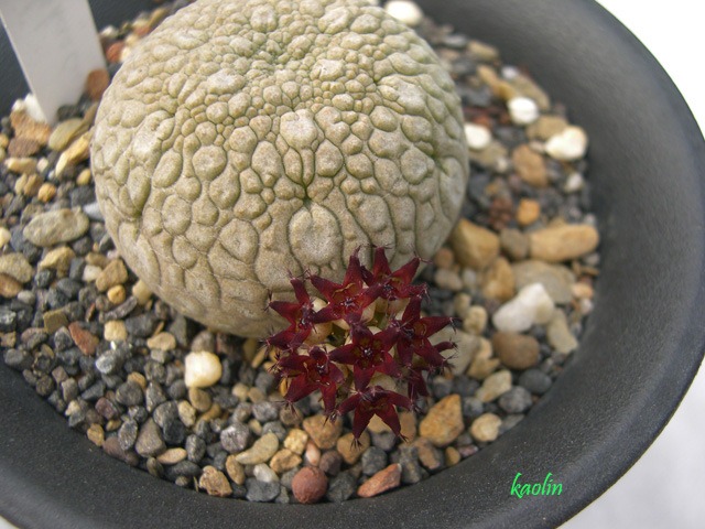 [DSCN5484[3].jpg]
