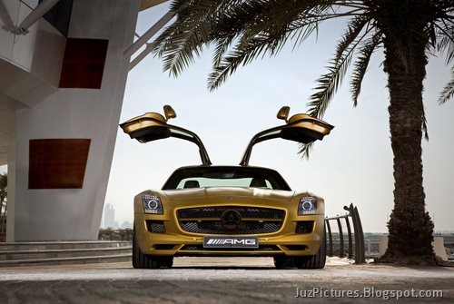[Mercedes-SLS-AMG-Desert-Gold-3[2].jpg]