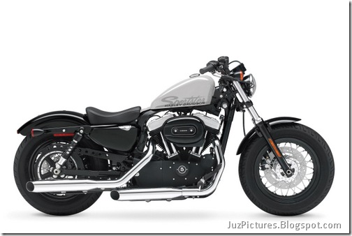 2010 Harley-Davidson Forty-Eight-10