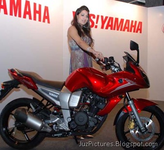 [yamaha_fazer_red-side-1[3].jpg]