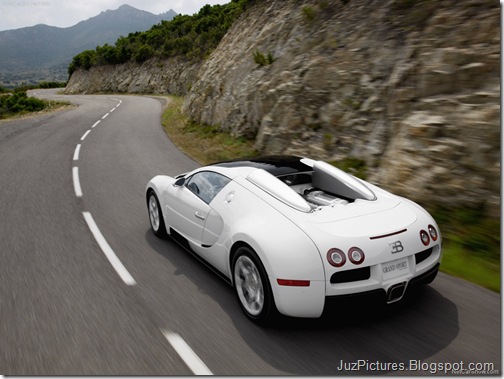 Bugatti-Veyron_Grand_Sport_4