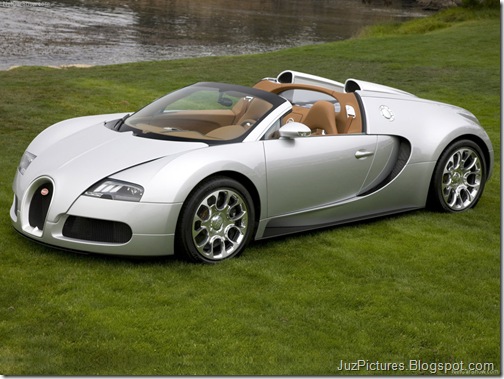 Bugatti-Veyron_Grand_Sport_7