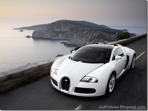 Bugatti-Veyron_Grand_Sport_19