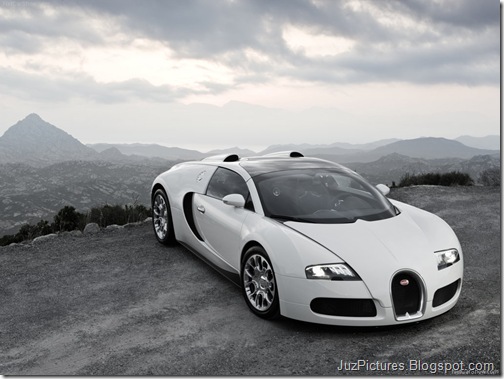 Bugatti-Veyron_Grand_Sport_20