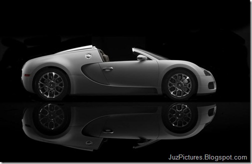 Bugatti-Veyron_Grand_Sport_31