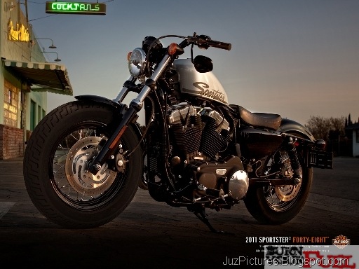 [harleydavidson_xl_1200x_forty_eight_india_1[2].jpg]