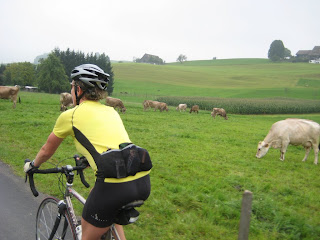 better get to 'em before the cows do