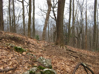 a rather steep climb, side view