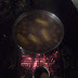 Low Country Boil
