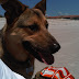 IMG00219-20100608-1144.jpg