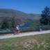 Darren & the dogs talking a walk at our lunch site