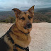 Rainah at Palo Duro Canyon