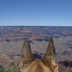 Rikka Studies the Grand Canyon