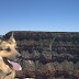 Rainah at the Grand Canyon
