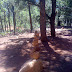 Our new campsite had some strange rock formations