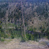 A river in Yellowstone National Park