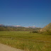 Views in Wyoming