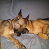 IMG00410-20100713-2312.jpg