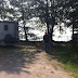 The pack at our campsite