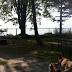 The picnic table and fire ring