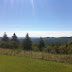 Scenery on the Drive - Highland Scenic Highway