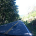 Scenery on the Drive