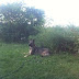 Rikka Relxing at Bronte Creek Provincial Park
