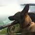Rikka at Niagara Falls