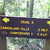 Trail 5