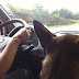 Rikka co-piloting in Tennessee