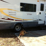 KOA & Drive on Daytona Beach