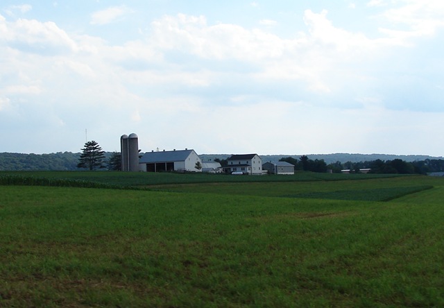 [DSC000304.jpg]