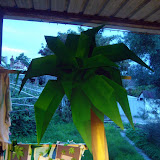 P1060356.jpg