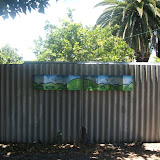 DSCF0589.JPG