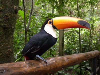 R0012221 R0012221