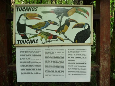 P1050273 P1050273