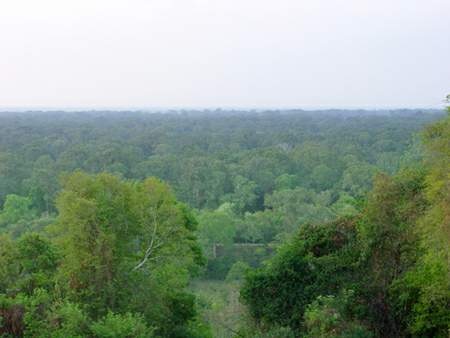 DSC00265 DSC00265