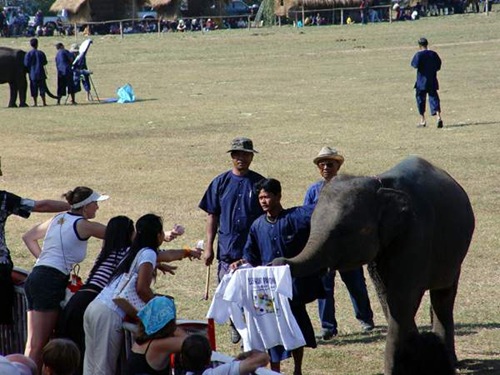 DSC00524 DSC00524
