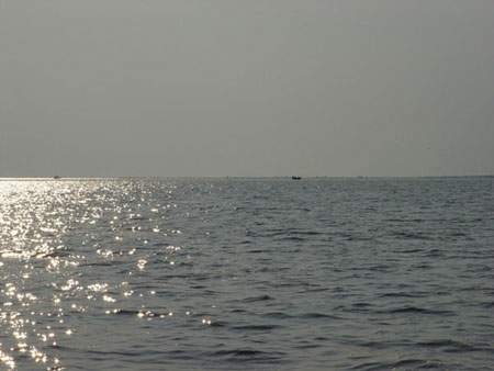 DSC00084 DSC00084