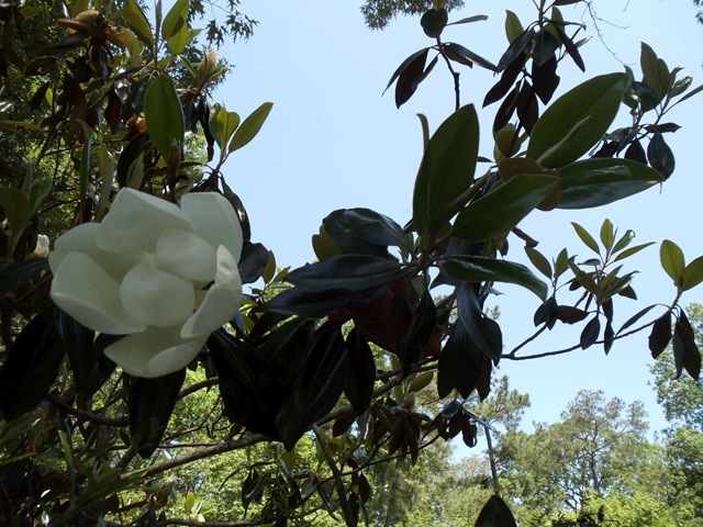 [Week 5 019-3000[3].jpg]