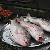Pescados frescos - Restaurant La Cueva - en El Cedro, Miches, Dominican Republic - http://www.rancholacueva.com