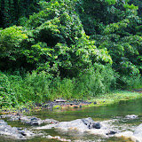 El rió Cedro en la región de El Cedro, Miches, Dominican Republic - http://www.rancholacueva.com