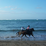 Una carrera en la playa - Ecoturismo en la Playa Limon - El Cedro, Miches, Republica Dominicana - Safaris organizado por el Rancho La Cueva, mas infos: http://www.rancholacueva.com