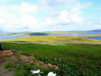 Nicolson