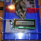 La 628Board in azione con un display LCD