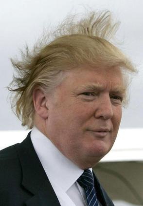 [trump-hair[4].jpg]