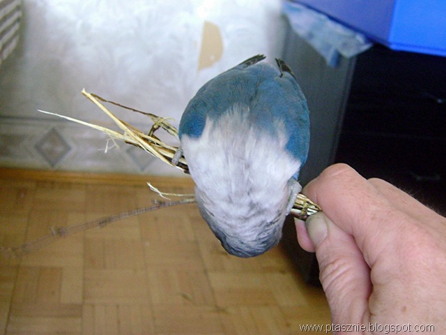 [2702201037.jpg]