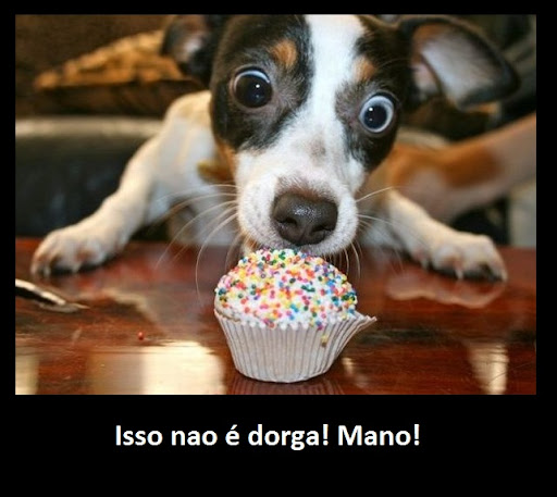 http://lh4.ggpht.com/_nfudIVeQnfU/S8svN-3pRPI/AAAAAAAAAEA/sG44R1sSG7U/s512/animals_222_39.jpg