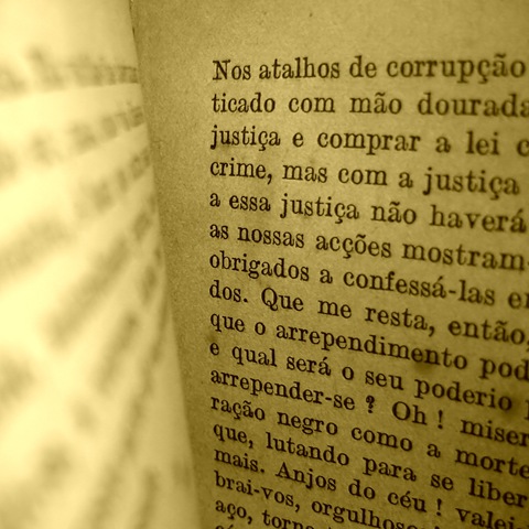 [Petio16.jpg]