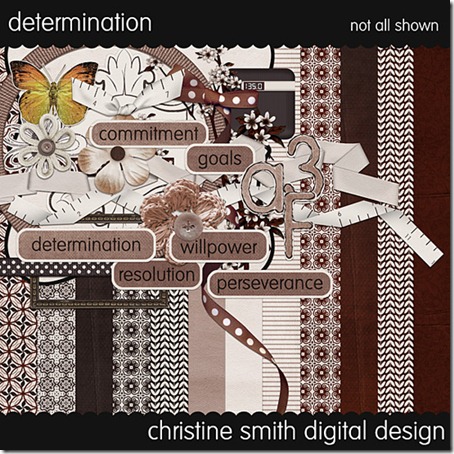 csmith-determination